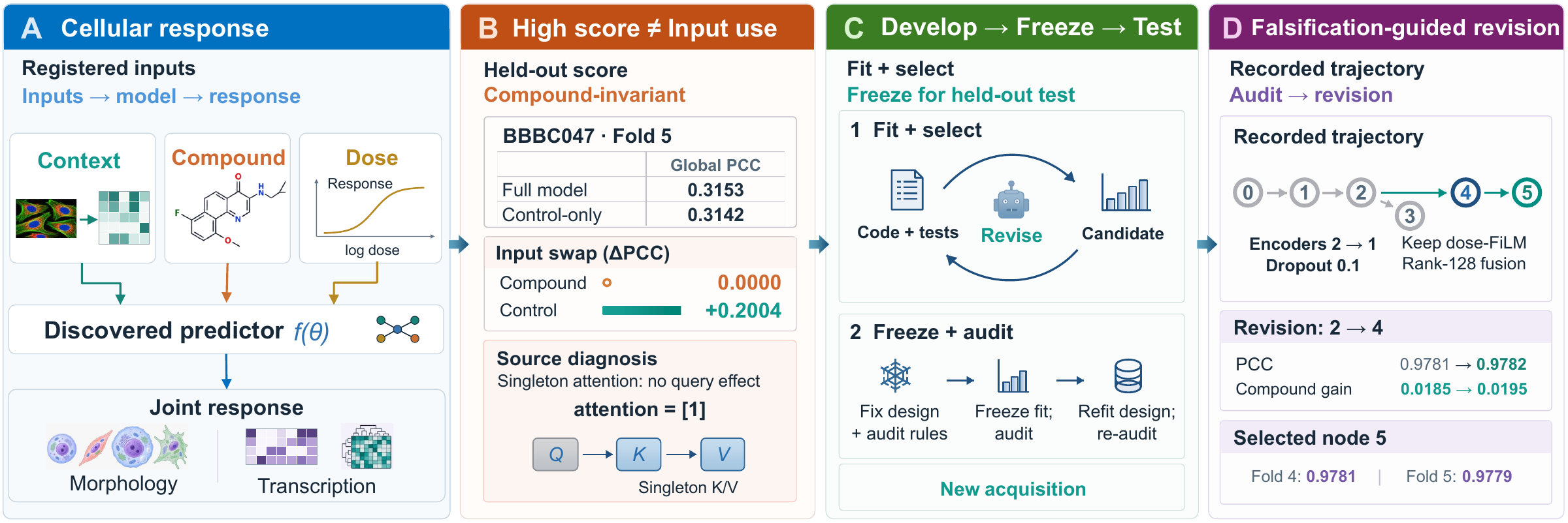 CellAudit framework: discover candidate models, falsify input-use claims with source inspection and replacement tests, and return evidence to model revision.