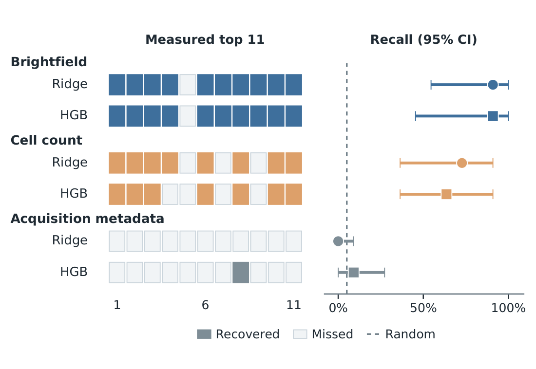 Ridge and histogram gradient boosting with brightfield features, fluorescence-derived cell counts and acquisition metadata; hit memberships and recall intervals